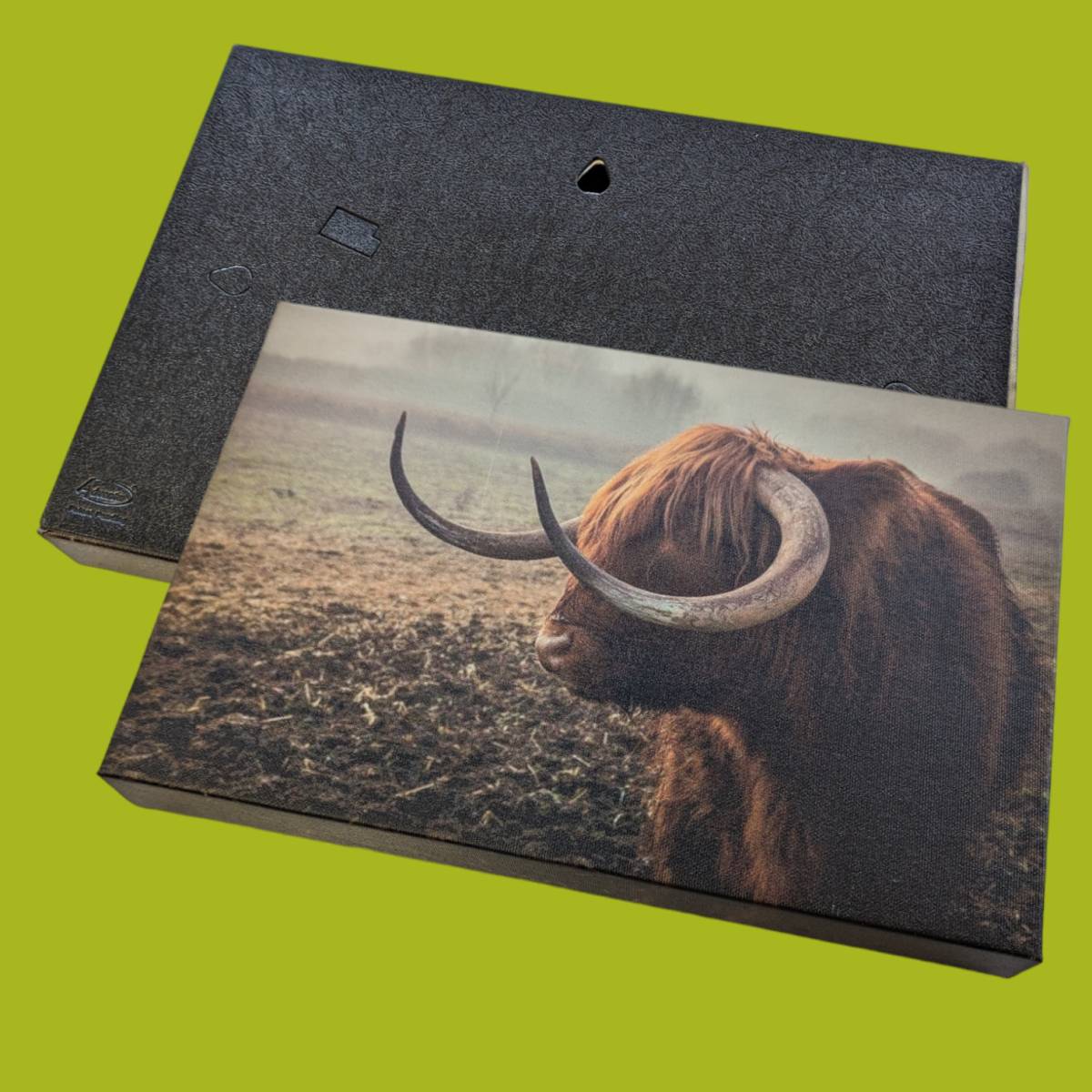 Canvas Box 8x12