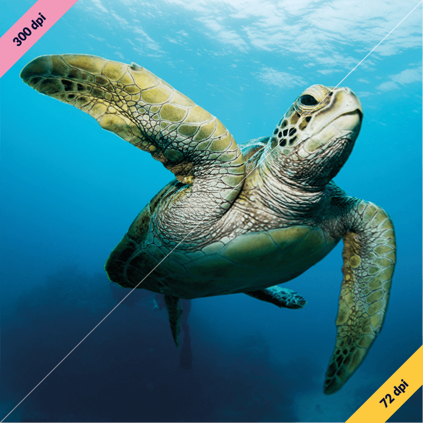 How resolution affects image quality