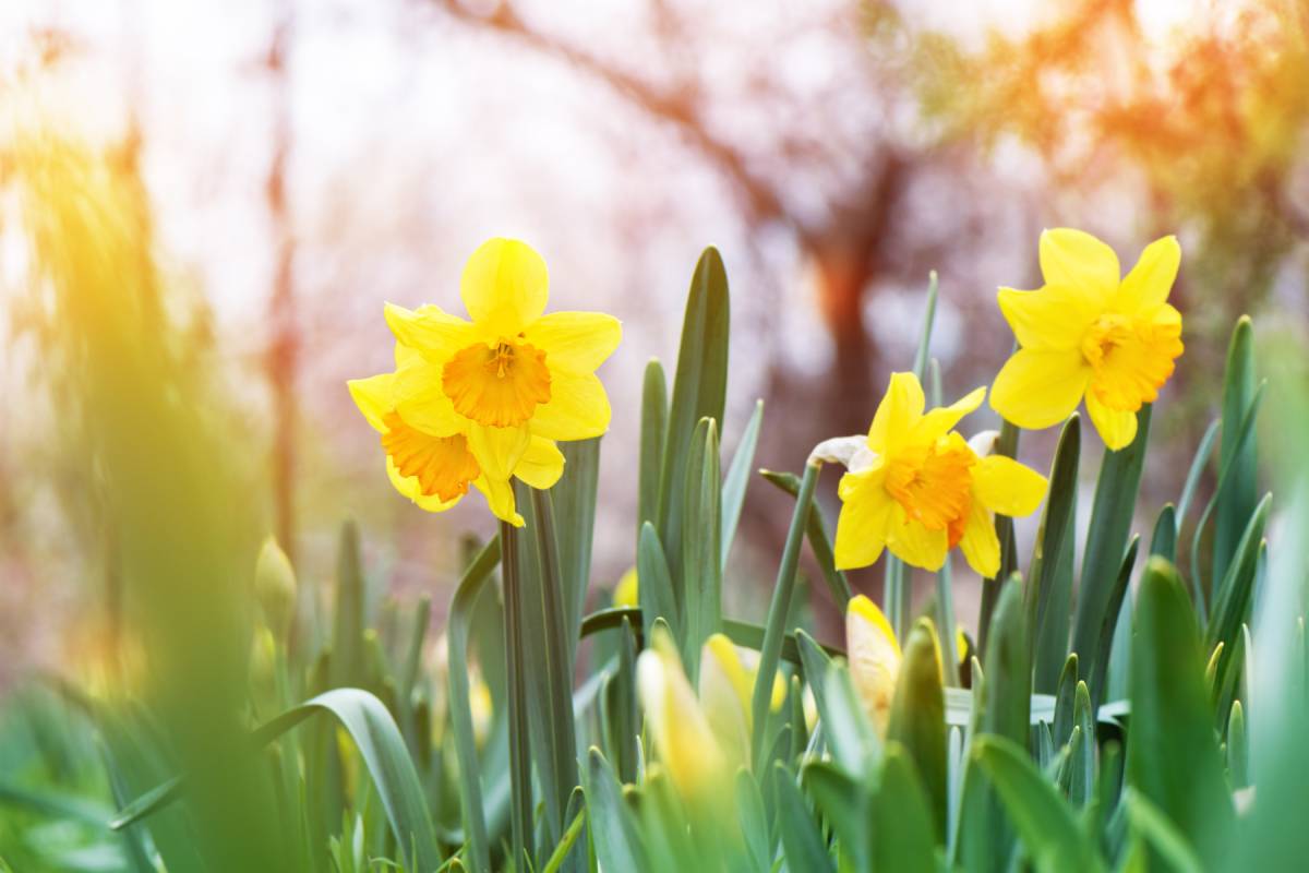 Spring is blooming and so should your marketing