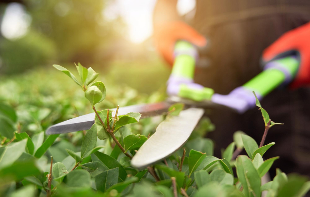 Flourishing gardens in spring bring full schedules for gardeners and landscapers